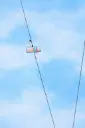 Douce traversée